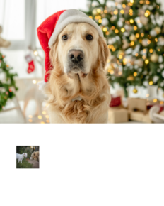 Picture for category Canine